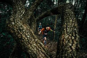 BIB: 
                            <button type="button" onclick="openModal(25682702)" class="btn btn-primary btn-sm float-right btn-popup" data-toggle="modal" data-target=".modal-high-quality">
                        <i class="fas fa-shopping-cart"></i> Add to Cart
                    </button>
                                            <button type="button" onclick="isThisMe(25682702, true)" class="btn btn-success btn-sm float-right btn-popup btn-isme hidden" data-toggle="tooltip" data-placement="bottom" title="นี่คือรูปของคุณใช่ไหม คลิกที่นี่เพื่อเอาเข้าอัลบั้ม">
                        <i class="fas fa-plus"></i> Add to album
                    </button>
                    <button type="button" onclick="isThisMe(25682702, false)" class="btn btn-warning btn-sm float-right btn-popup btn-isnotme hidden">
                        <i class="fas fa-ban"></i> Remove from album
                    </button>